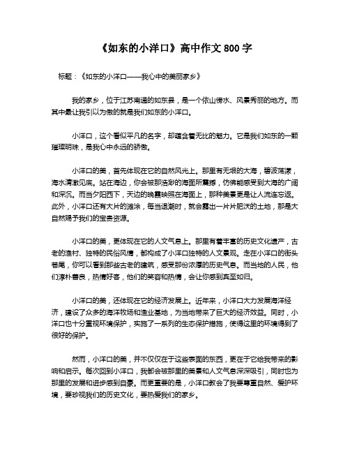 《如东的小洋口》高中作文800字