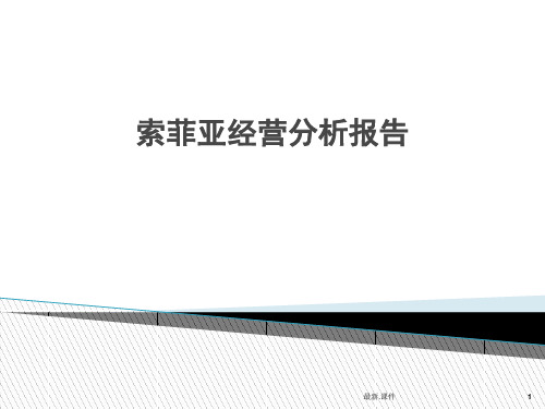 回顾索菲亚经营分析报告.ppt