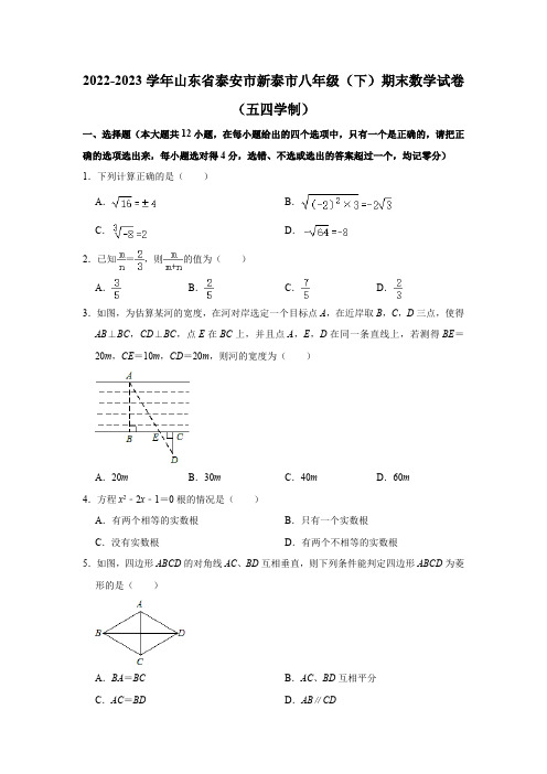 2022-2023学年山东省泰安市新泰市八年级(下)期末数学试卷(五四学制)(含解析)