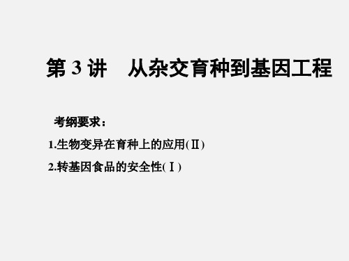 高考生物 一轮复习 生物的变异、育种和进化 第3讲 从杂交育种到基因工程(必修2)