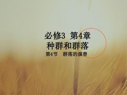 专题4-4 群落的演替课件-2017-2018学年高二生物同步课堂必修3 精品