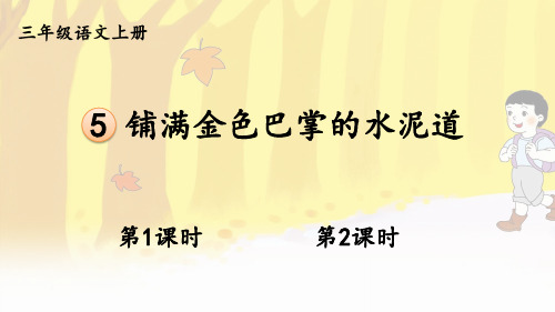 5 铺满金色巴掌的水泥道课件及课后习题参考答案