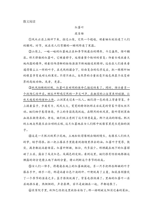 《红薯叶》阅读练习及答案