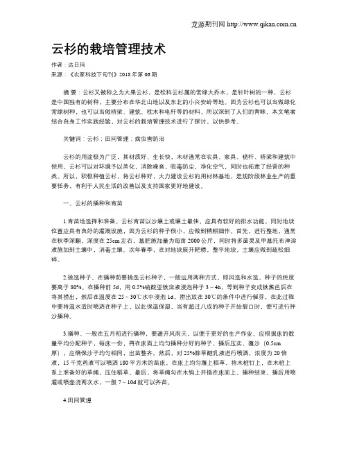 云杉的栽培管理技术
