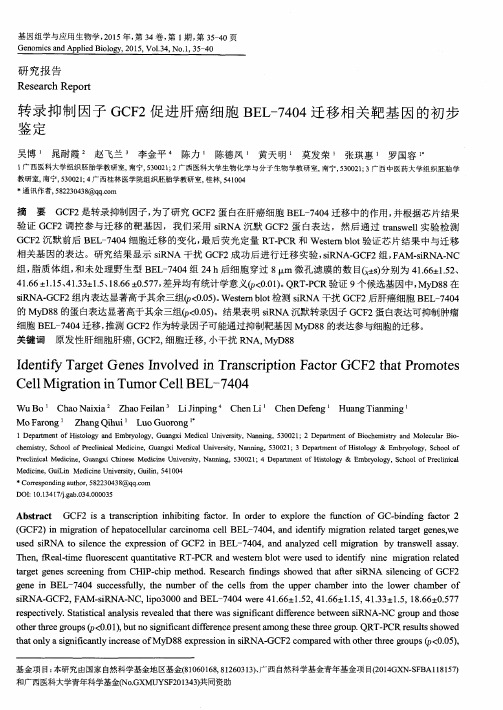 转录抑制因子GCF2促进肝癌细胞BEL-7404迁移相关靶基因的初步鉴定