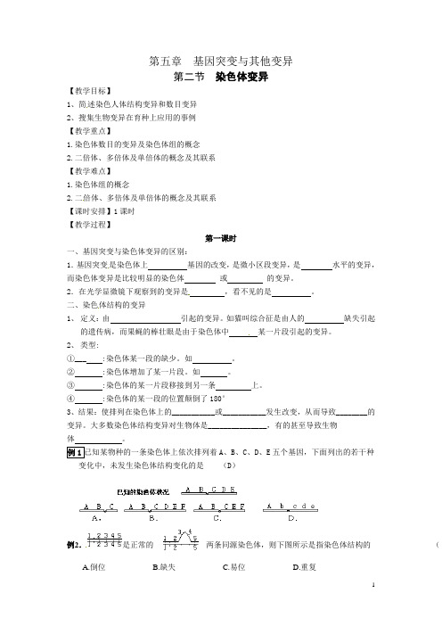 人教高中生物必修2第二节  染色体变异 (2)  教案