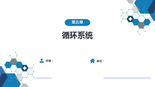 医学影像学-第五章 循环系统