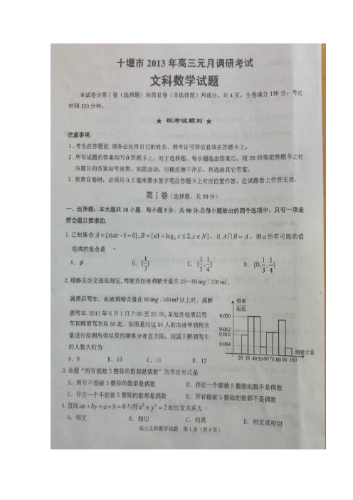 湖北省十堰市2013届高三元月调研考试数学(文)试题(扫描版)