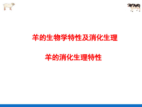 羊的饲养管理—羊的消化生理特性