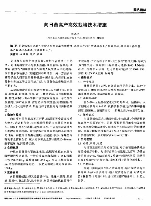 向日葵高产高效栽培技术措施