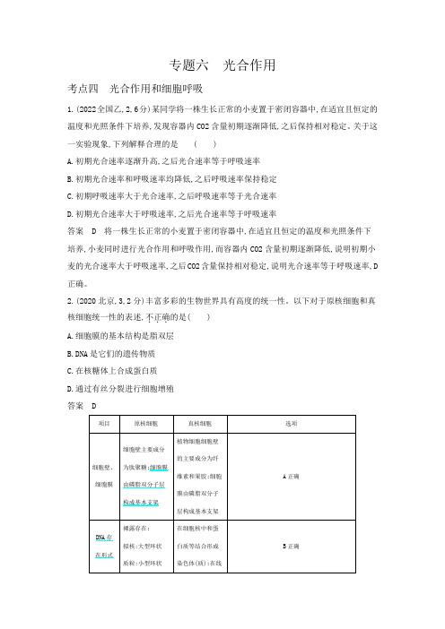 高考生物专题复习-专题六光合作用-考点四光合作用和细胞呼吸-高考真题练习(附答案)