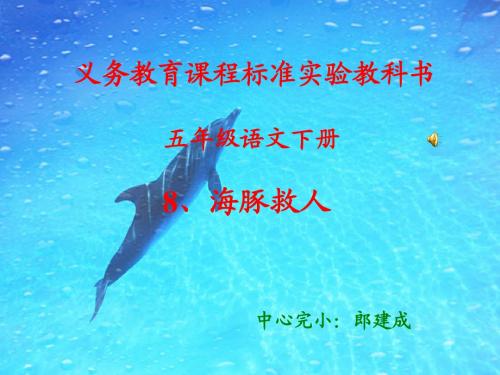 海豚救人课件