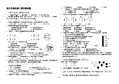 高中生物必修二期末试题及答案87015