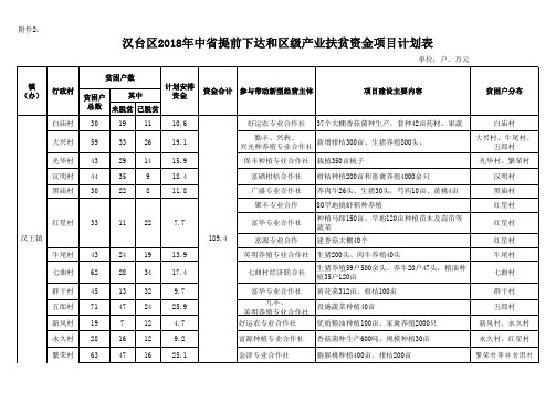 贫困村资金项目计划