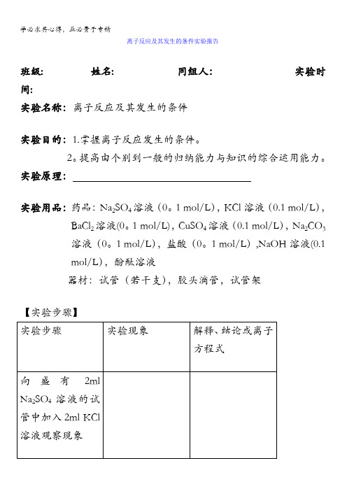 高中化学一实验离子反应及其发生的条件实验报告