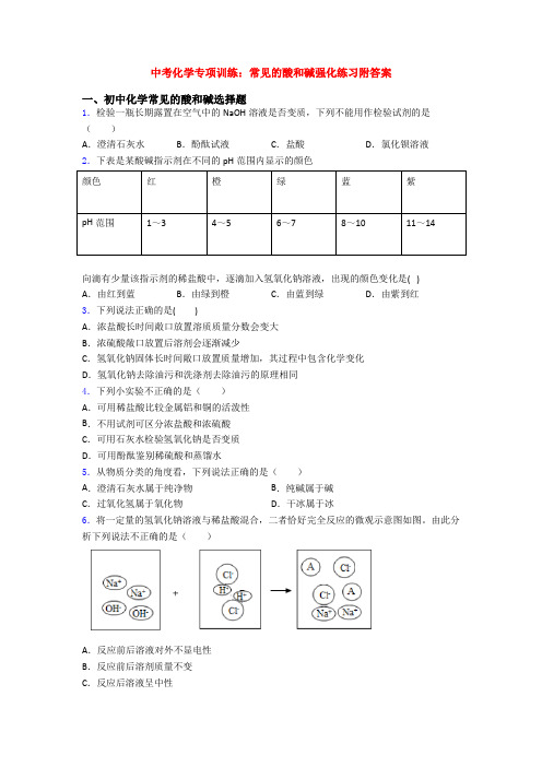 中考化学专项训练：常见的酸和碱强化练习附答案