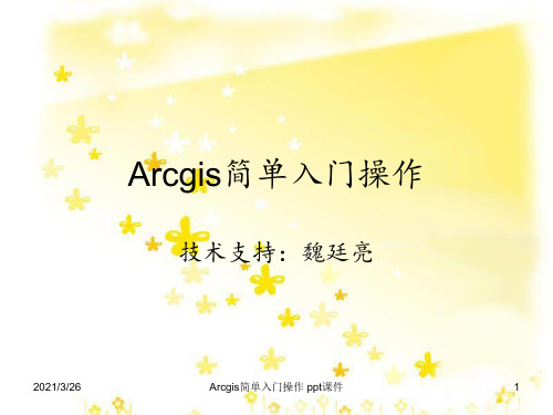 Arcgis简单入门操作 ppt课件