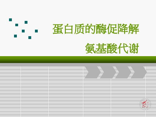 07-蛋白质的酶促降解和氨基酸代谢 共67页PPT资料