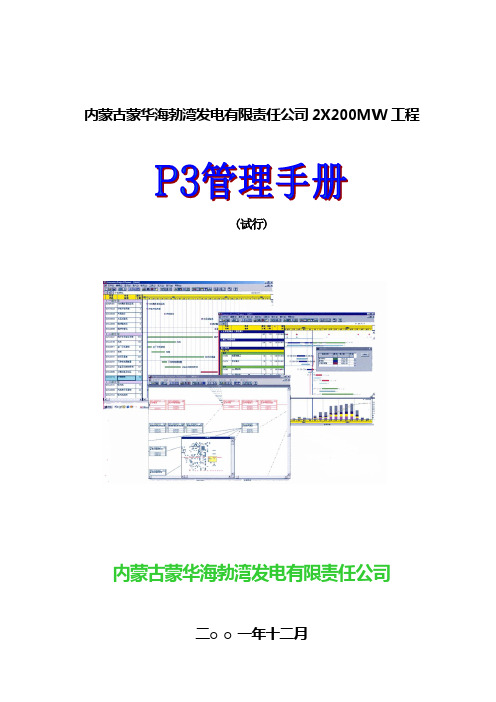 p3项目管理手册试行