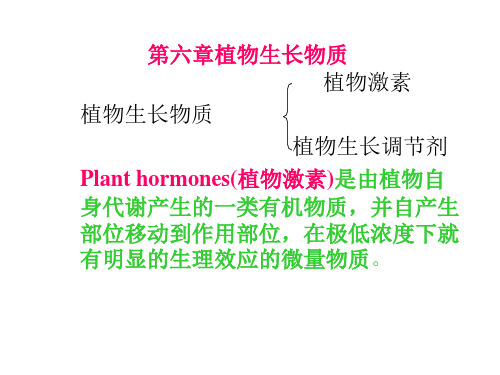 植物生理学英文课件：Chapter06 substances