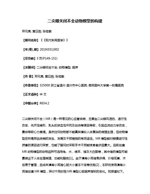 二尖瓣关闭不全动物模型的构建