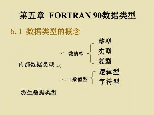 Fortran数据类型