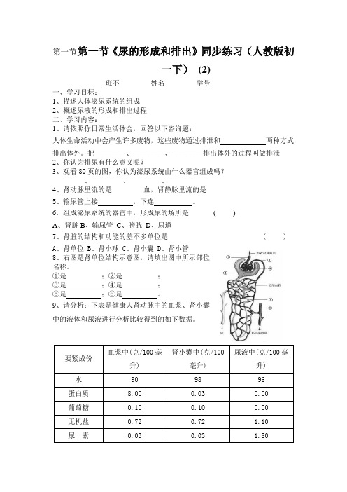 第一节《尿的形成和排出》同步练习(人教版初一下) (2)