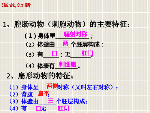 八年级生物上册 5.1.2 线形动物和环节动物 (新版)新人教版