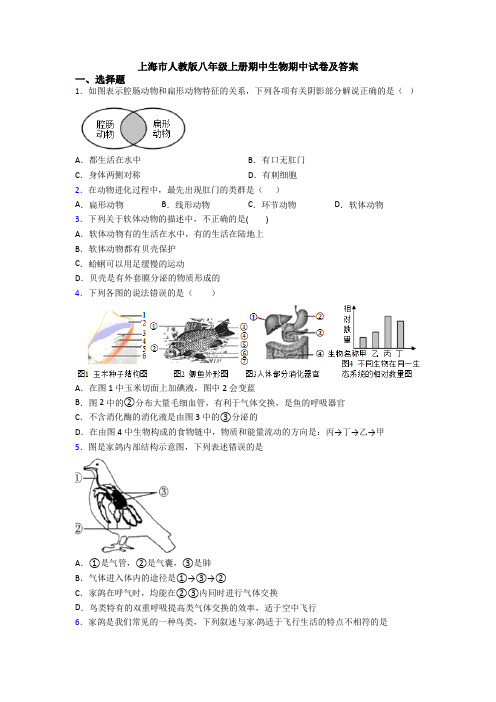 上海市人教版八年级上册期中生物期中试卷及答案