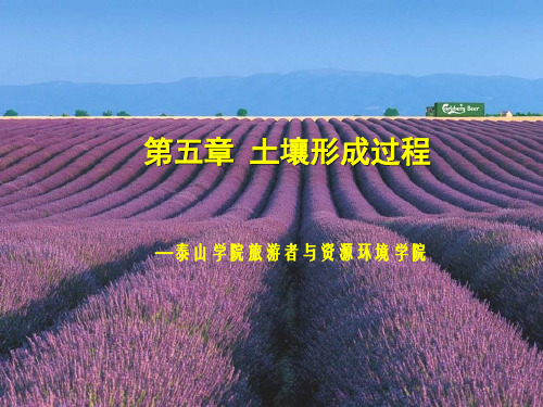 第五章 土壤形成过程