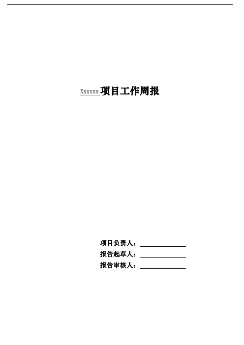 项目周计划及周报模板