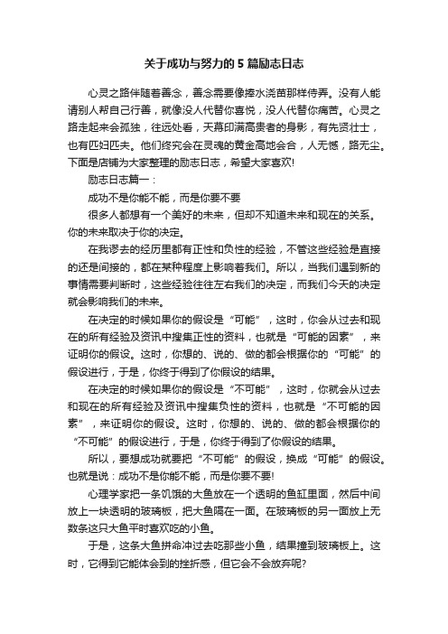 关于成功与努力的5篇励志日志