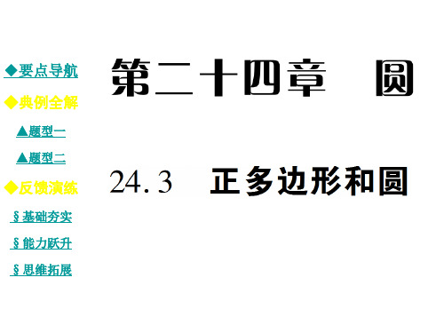 九年级数学上册 24.3 正多边形和圆课件 (新版)新人教