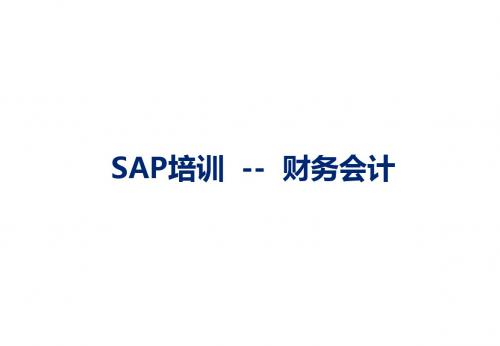 SAP财务会计