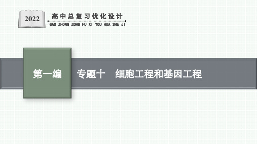 人教版新高考生物二轮复习课件--细胞工程和基因工程