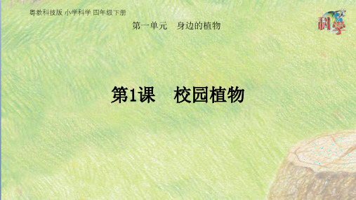 《校园植物》PPT精品课件粤教版小学1