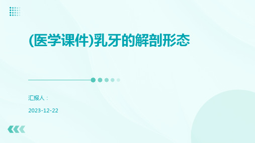 (医学课件)乳牙的解剖形态