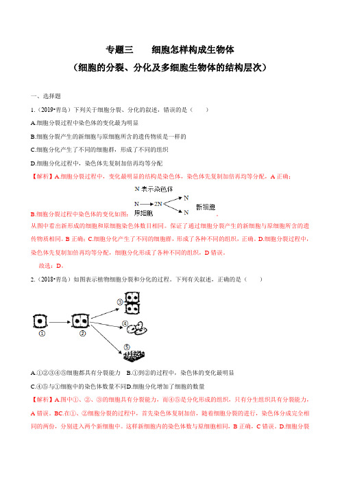 2020中考生物真题分类汇编(山东省)专题03 细胞怎样构成生物体(解析版)