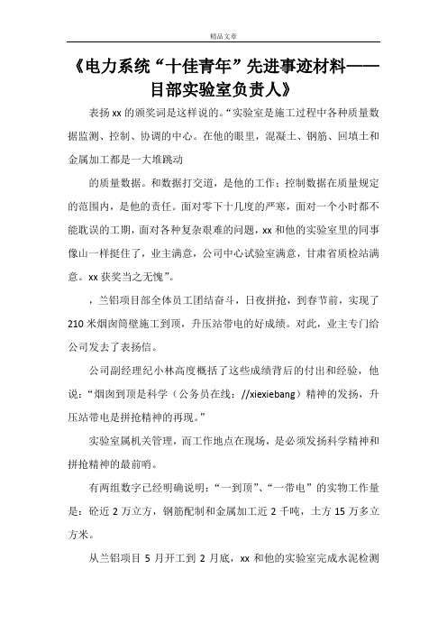 《电力系统“十佳青年”先进事迹材料——目部实验室负责人》