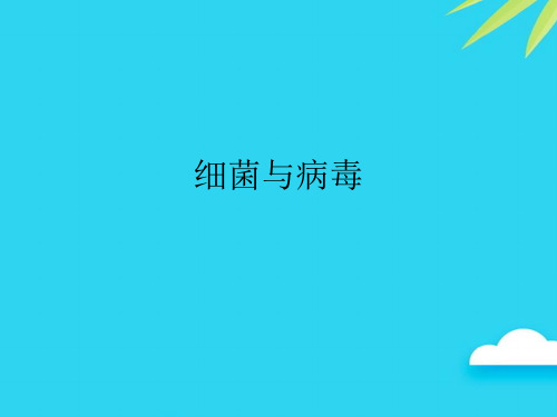 【正式版】细菌与病毒PPT