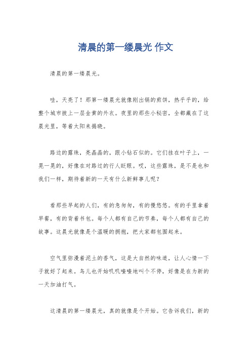 清晨的第一缕晨光 作文