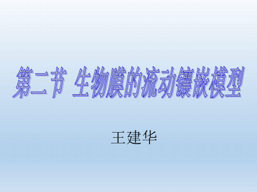 高中生物 第四章 细胞的物质输入和输出 第二节 生物膜的流动镶嵌模型课版必修