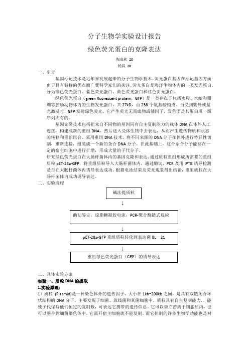 分子生物学实验设计报告绿色荧光蛋白的克隆表达