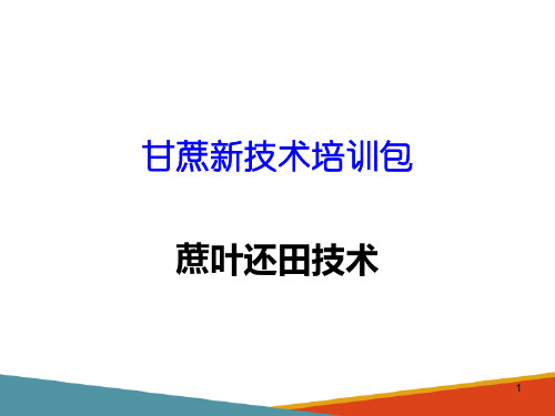 甘蔗生产新技术—蔗叶还田技术(甘蔗生产技术课件)