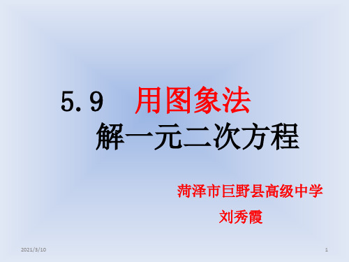 用图象法解一元二次方程