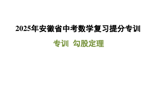 2025年安徽省中考数学复习提分专训(专训+勾股定理)