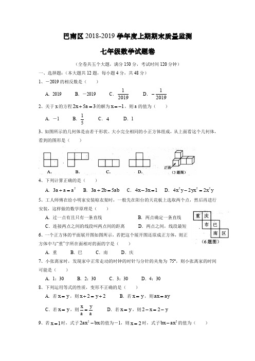 巴南区2020级七上期末