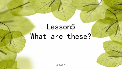 科普版小学英语四年级下册Lesson5