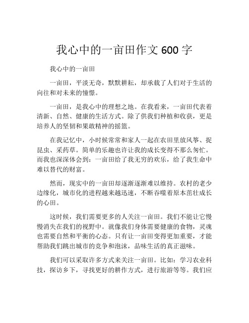 我心中的一亩田作文600字