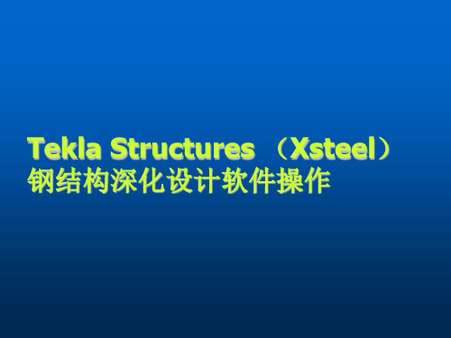 Tekla钢结构BIM软件教程-Tekla建模(钢架及檩条、重画檩托板)